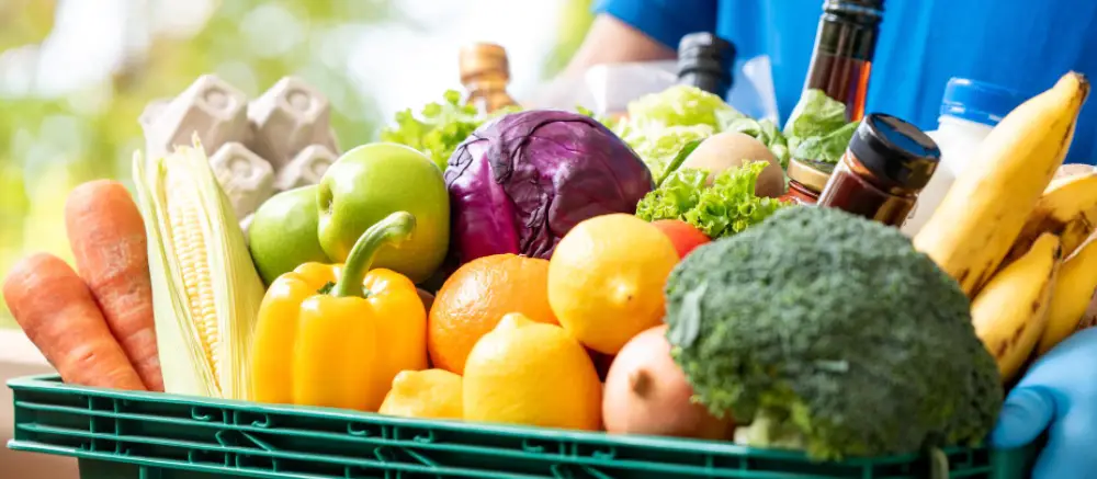 Food and grocery ecommerce illustration